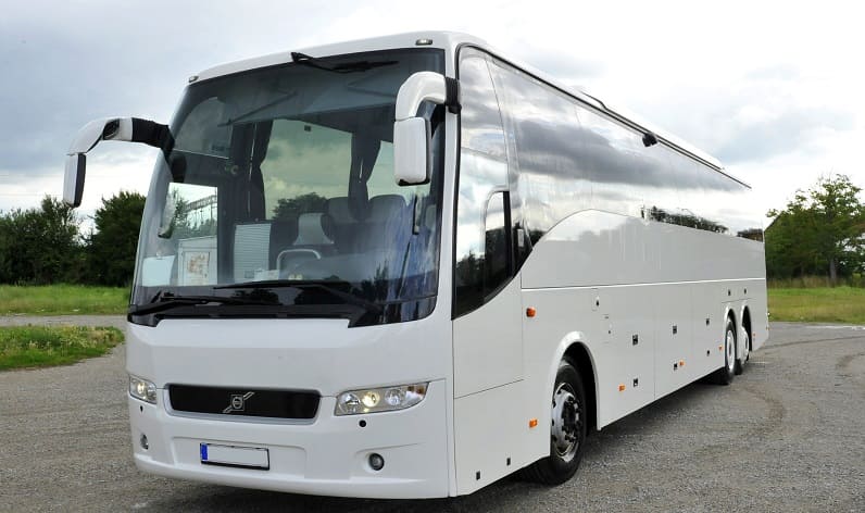 Burgenland: Buses agency in Eisenstadt in Eisenstadt and Austria